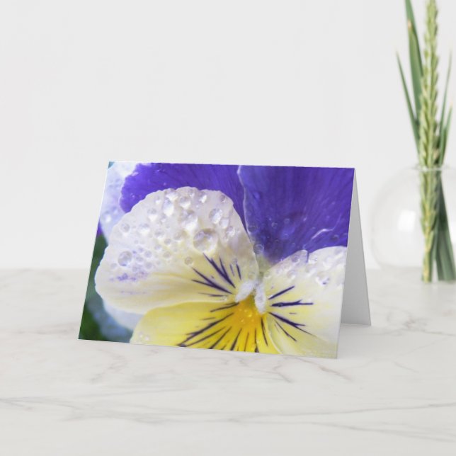 Cartão Viola Flowers Greeting Card (Frente)
