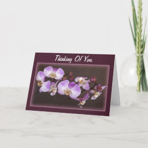 Cartão Violet White Orchid Photo Thinking Of You Template