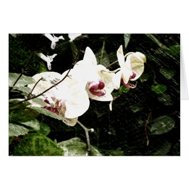 Cartão violeta (Frente Horizontal)