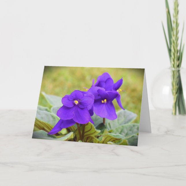 Cartão Violeta, carta (Frente)