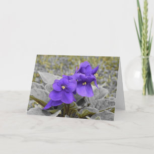 Cartão Violeta, carta