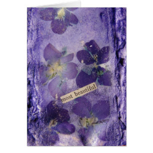 Cartão Violetas Roxas Mais Bonitas