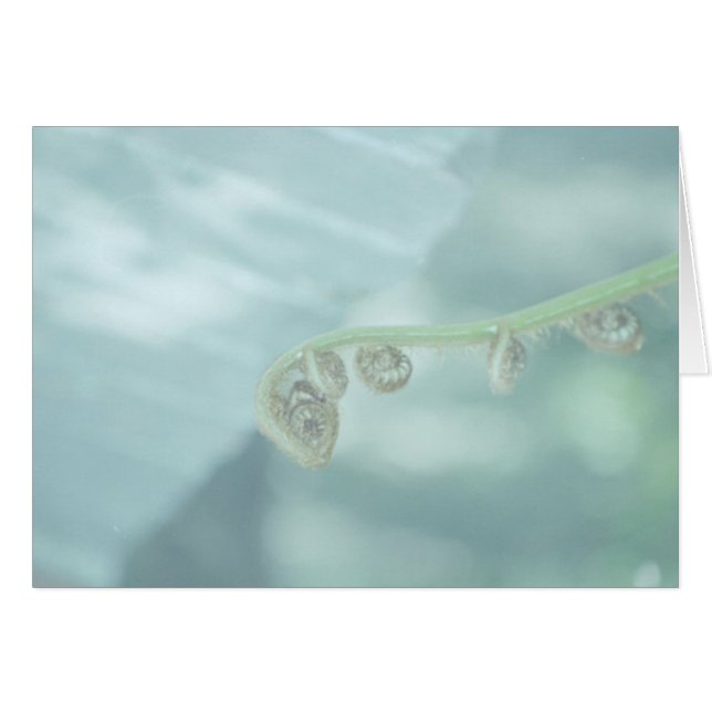 Cartão violino dee dee. (Frente Horizontal)