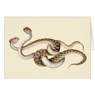 Cartão Vipers Cavalos