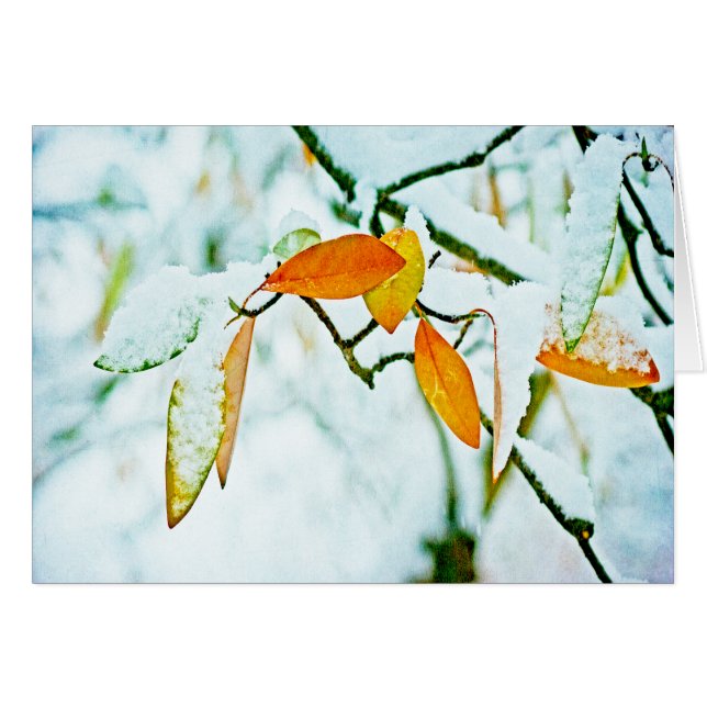 Cartão Virando a página (Frente Horizontal)