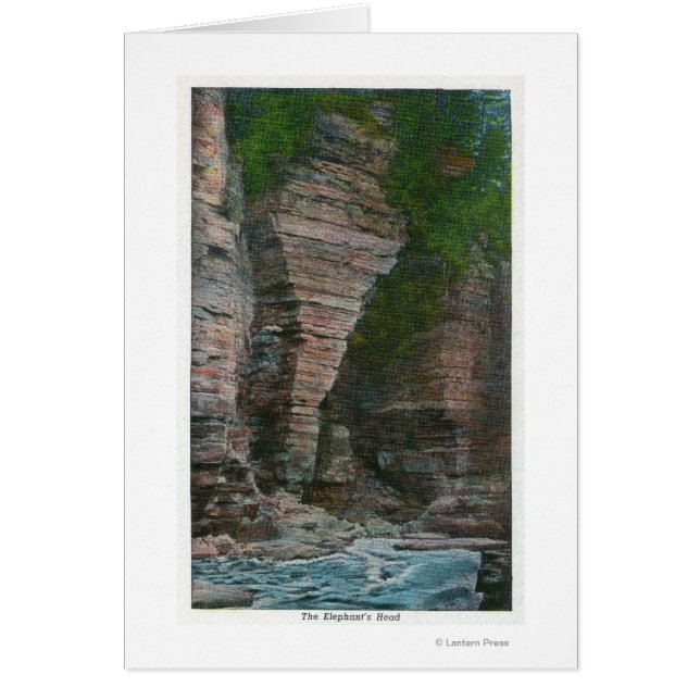 Cartão Visão da cabeça do elefante (Frente)