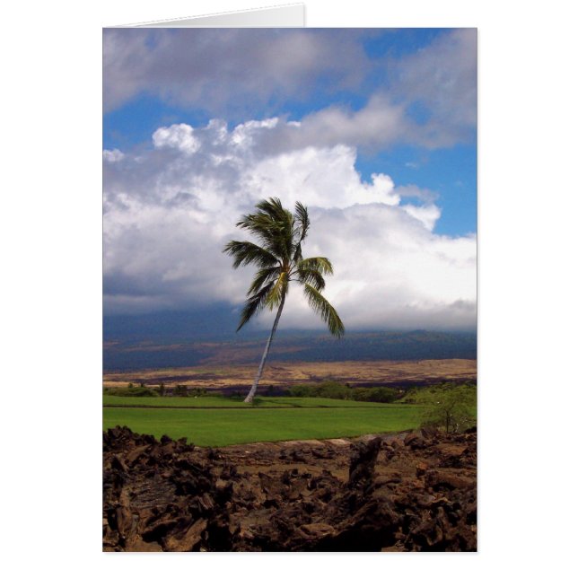 Cartão Visão do Curso de Golfe do Havaí (Frente)