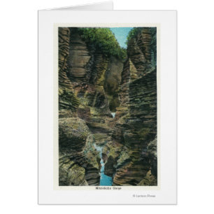 Cartão Visão do desfiladeiro Minnehaha