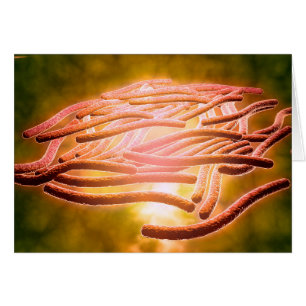 Cartão Visão Microscópica Da Legionella Pneumophila 2