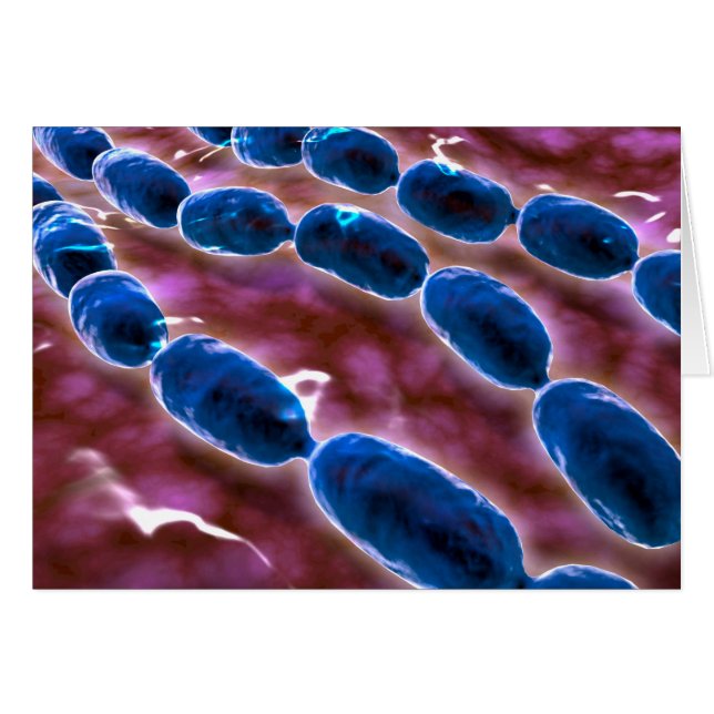 Cartão Visão Microscópica Da Pneumonia Bacteriana 1 (Frente Horizontal)
