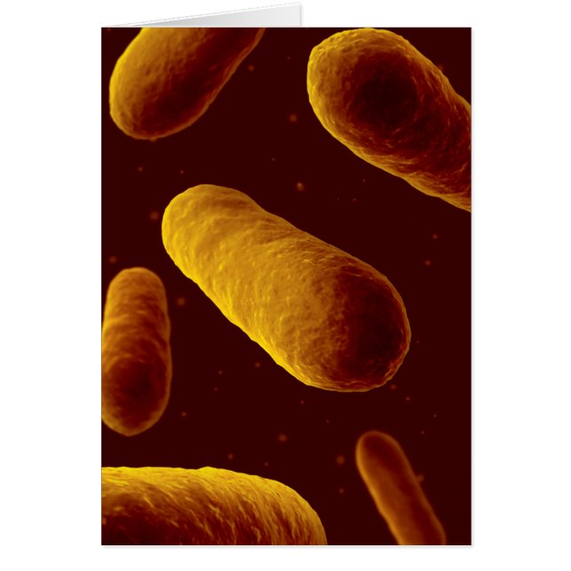 Cartão Visão Microscópica Das Bactérias 3 (Frente)