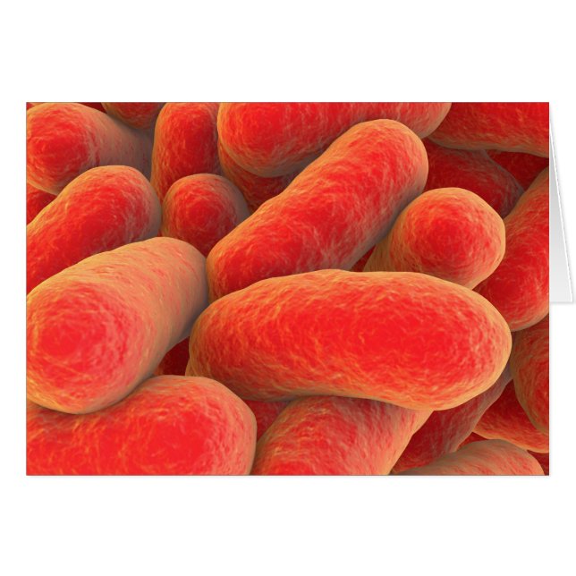 Cartão Visão Microscópica Das Bactérias 4 (Frente Horizontal)