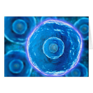 Cartão Visão Microscópica Das Células B Humanas 1