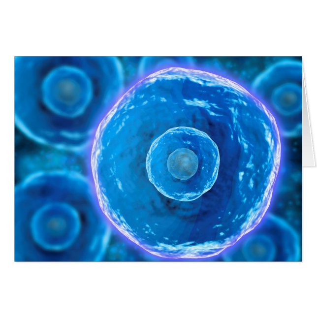 Cartão Visão Microscópica Das Células B Humanas 1 (Frente Horizontal)