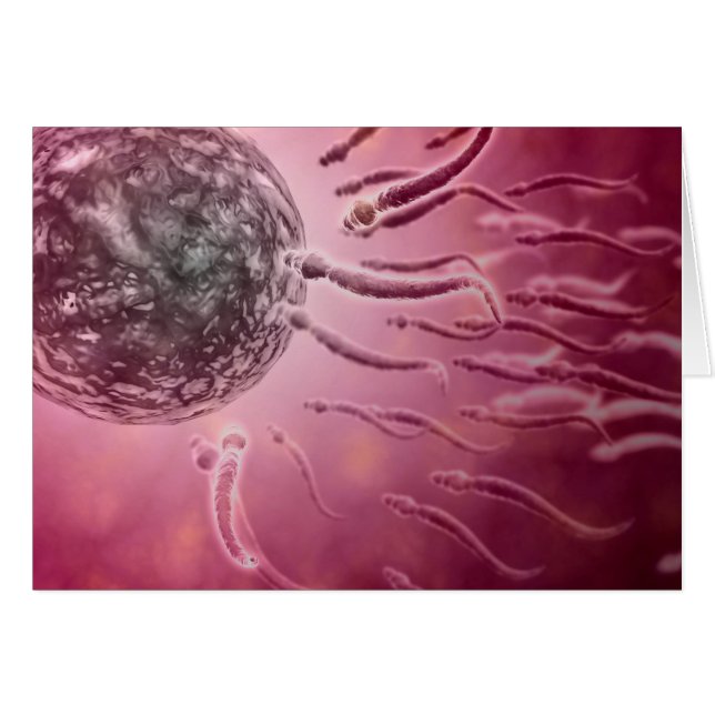 Cartão Visão Microscópica De Esperma Nadando Em Direção A (Frente Horizontal)