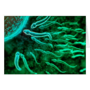 Cartão Visão Microscópica De Esperma Nadando Em Direção A