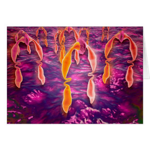 Cartão Visão Microscópica De Ligadura Vinculando A Um Rec