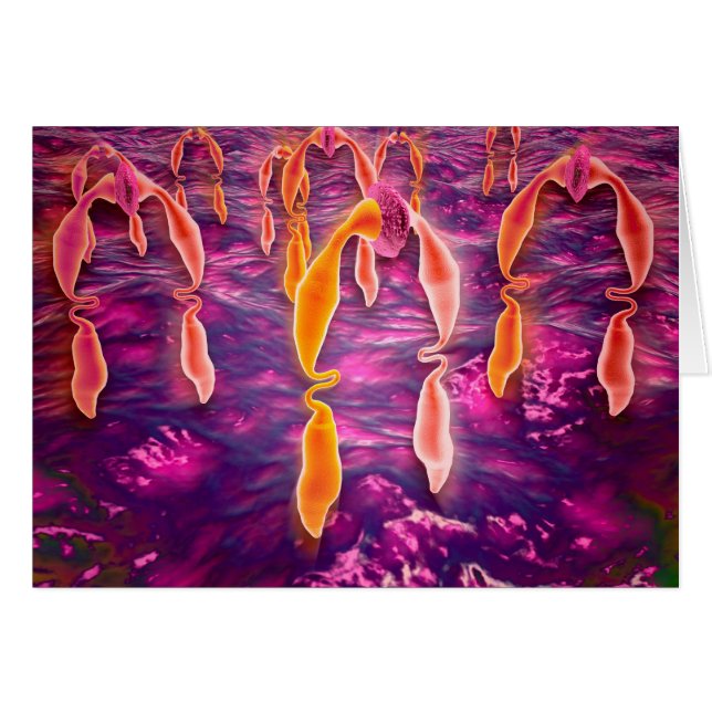 Cartão Visão Microscópica De Ligadura Vinculando A Um Rec (Frente Horizontal)