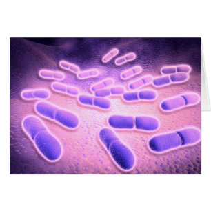 Cartão Visão Microscópica De Listeria Monocytogenes 2