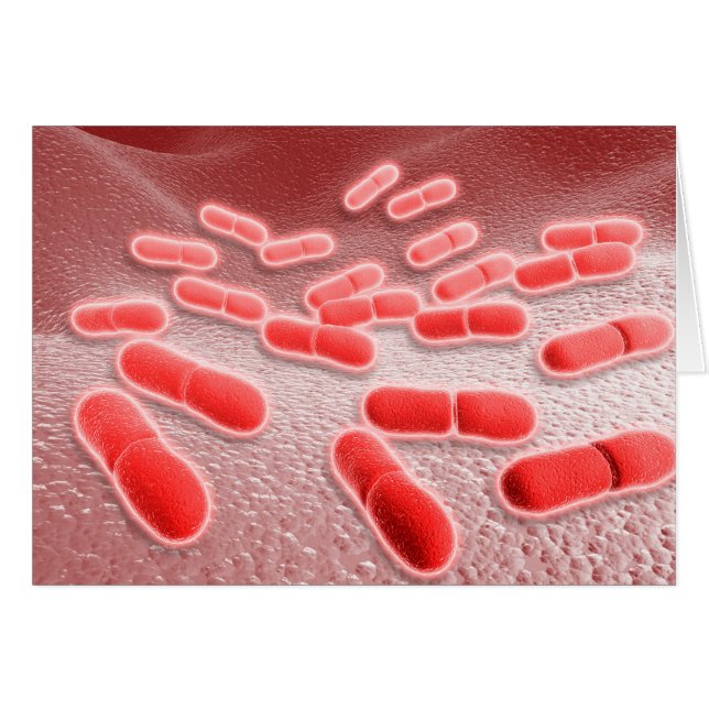 Cartão Visão Microscópica De Listeria Monocytogenes 4 (Frente Horizontal)