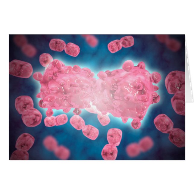 Cartão Visão Microscópica De Um Grupo De Células De Leuce (Frente Horizontal)