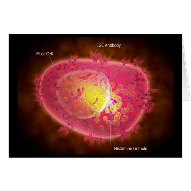 Cartão Visão Microscópica De Uma Célula Mast (Frente Horizontal)