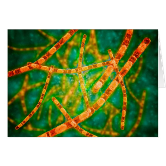 Cartão Visão Microscópica Do Antraz 2 (Frente Horizontal)