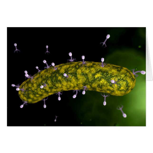 Cartão Visão Microscópica Do Atacamento De Bacteriófagos (Frente Horizontal)