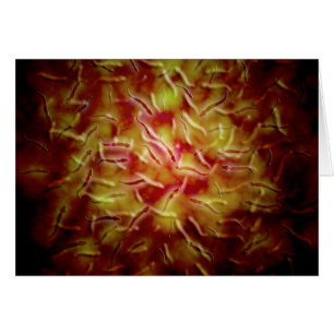 Cartão Visão Microscópica Do Esperma