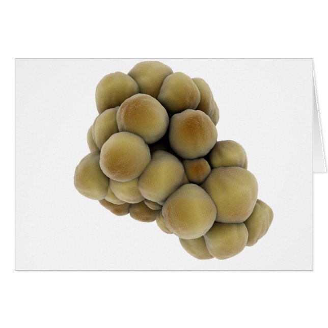 Cartão Visão Microscópica Do Tumor 5 (Frente Horizontal)