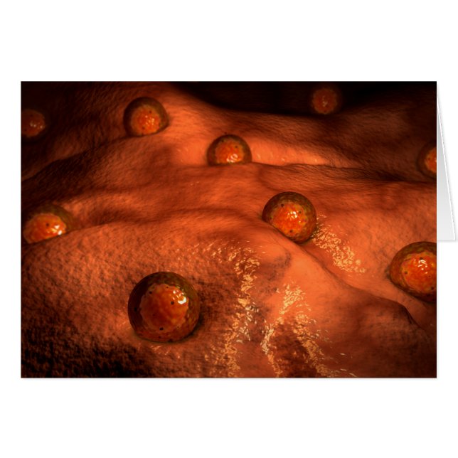 Cartão Visão Microscópica Dos Óvulos (Frente Horizontal)