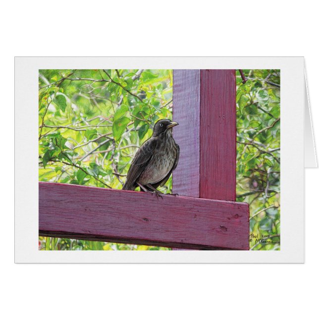 Cartão "Visitante da Ilha" Paul McGehee (Frente horizontal)