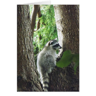 Cartão Visitante inesperado