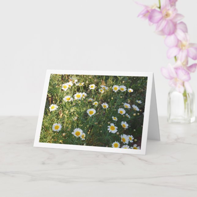 Cartão Visitas Comuns na Grama (Orquídea)