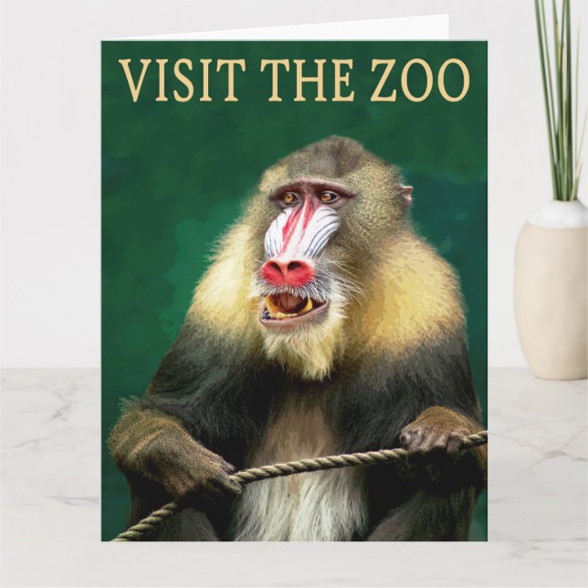 Cartão Visite o Mandril no Zoológico (Frente)