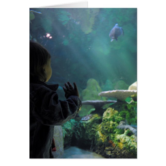 Cartão Visor de Tanque de Tartaruga (Frente)