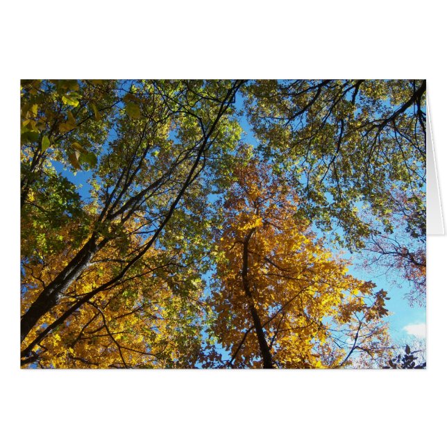 Cartão Vista acima (Frente Horizontal)