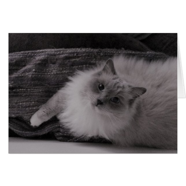 Cartão Vista acima (Frente Horizontal)