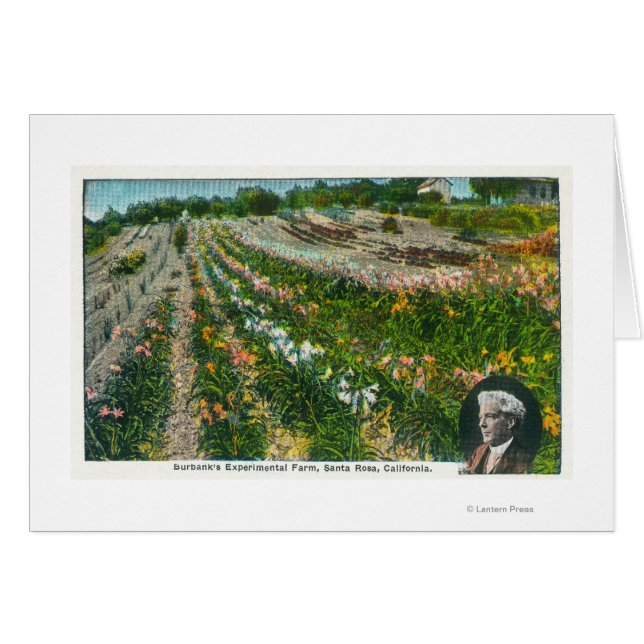 Cartão Vista aérea da Fazenda experimental Burbanks (Frente Horizontal)