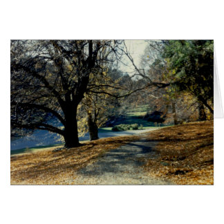 Cartão Vista através do bosque da faia