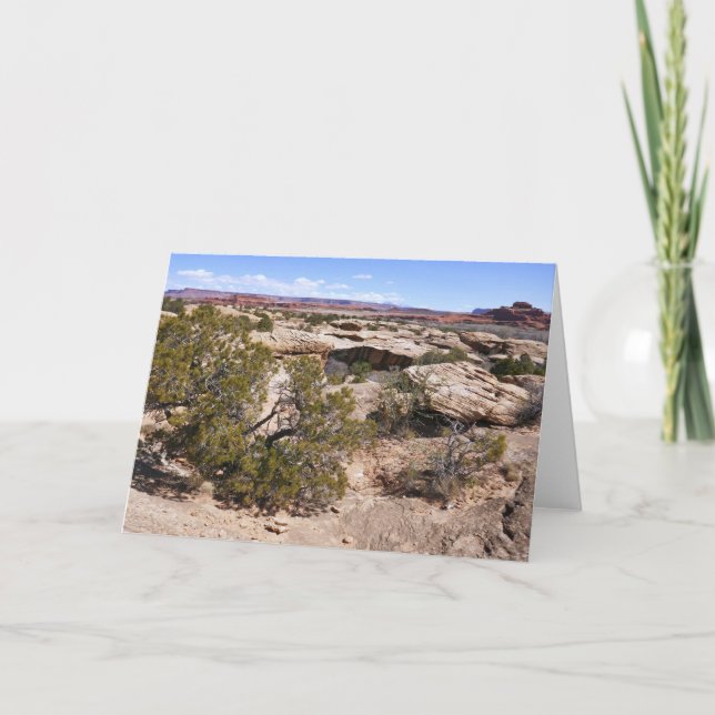 Cartão Vista Canyonlands a partir da Trilha de Primaveras (Frente)