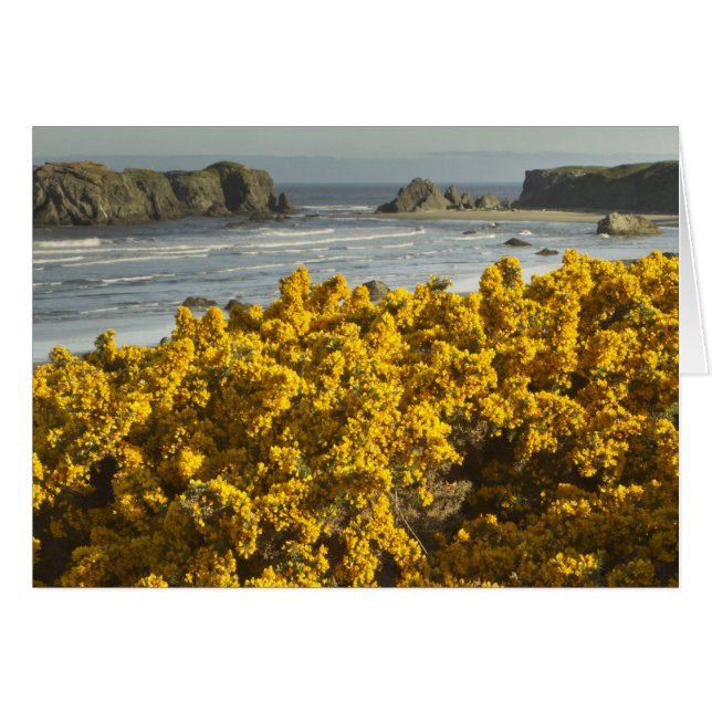 Cartão Vista costeira, Bandon, Oregon (Frente Horizontal)