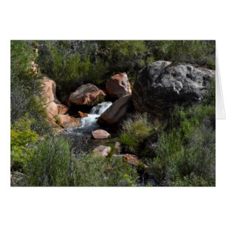 Cartão Vista da Trilha do Kaibab do Norte, Grand Canyon