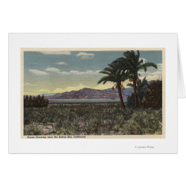 Cartão Vista das datas que crescem perto do Mar de Salton (Frente Horizontal)