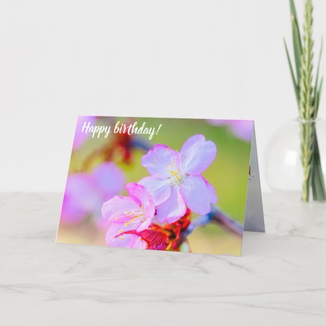 Cartão Vista De Aproximação Das Florestas De Cereja De Sa (Frente)