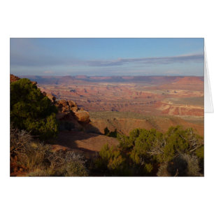 Cartão Vista de Canyonlands do Grand View Point Trail