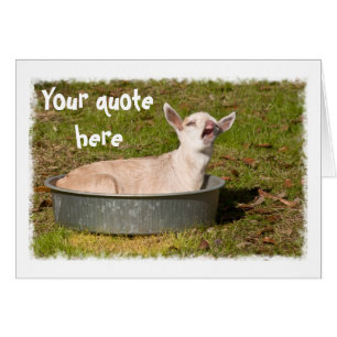 Cartão Vista de Caprino