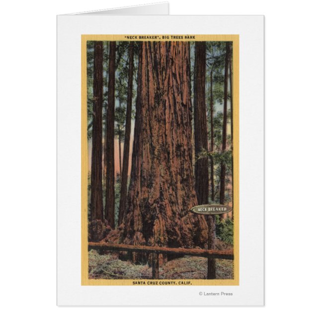 Cartão Vista de "Criador de Pescoço" no Parque das Grande (Frente)