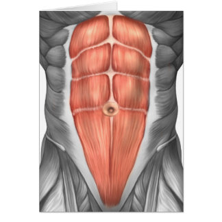 Cartão Vista De Fecho Dos Músculos Abdominais Masculinos