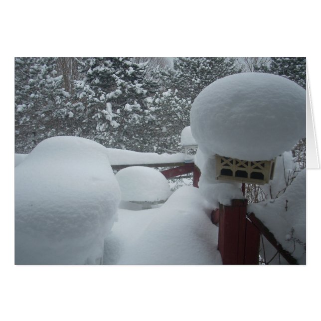 Cartão Vista de inverno da varanda (Frente Horizontal)